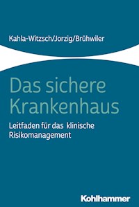 Das sichere Krankenhaus - Heike-Anette Kahla-Witzsch - ebook