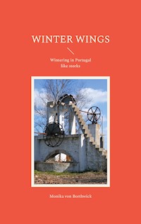 Winter Wings - Monika von Borthwick - ebook