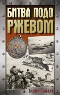 Битва подо Ржевом - Сульдин Андрей - ebook