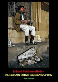 DER MANN OHNE GEIGENKAFTEN - Erhard Schümmelfeder - ebook