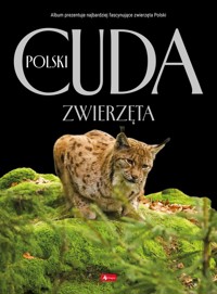 Cuda Polski. Zwierzęta - Łukasz Przybyłowicz - książka