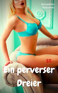 Ein perverser Dreier - Bernadette Binkowski - ebook