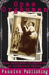 Opas Orgasmen - Anonymus - ebook