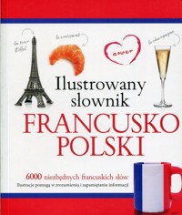 Ilustrowany słownik francusko-polski - Woźniak Tadeusz - książka