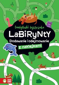 Łamigłówki bystrzaka Labirynty Dodawanie i odejmowanie - Osuchowska Zuzanna - książka
