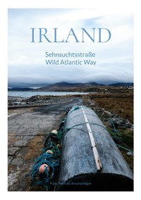 Irland - Franz Michael Braunschläger - ebook