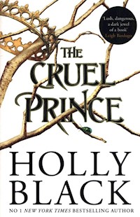 The Cruel Prince - Holly Black - książka