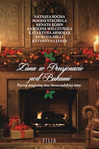 Zima w Pensjonacie pod Bukami - Natasza Socha, Magda Stachula, Renata Kosin, Karolina Wilczyńska, Katarzyna Misiołek, Dorota Milli, Katarzyna Janus - ebook