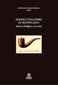 Perspectivas sobre el significado - Cristián Noemi Padilla - ebook