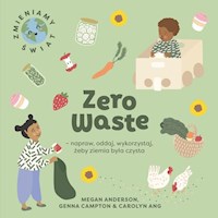 Zero Waste napraw, oddaj, wykorzystaj, żeby Ziemia była czysta - Anderson Megan - książka