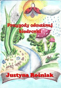 Przygody odważnej biedronki - Rośniak Justyna - książka