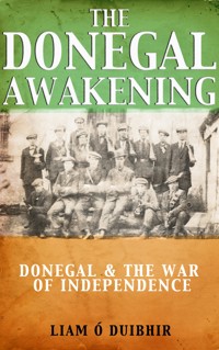 The Donegal Awakening - Liam Ó Duibhir - ebook