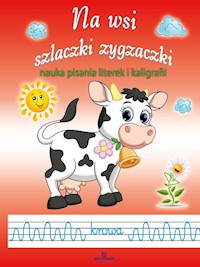 Na wsi szlaczki zygzaczki - Jarosław Żukowski - książka