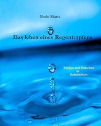 Das Leben eines Regentropfens - Bodo Maria - ebook