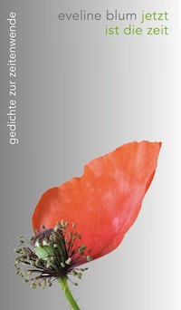 jetzt ist die zeit - Eveline Blum - ebook