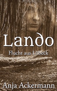 Lando - Anja Ackermann - ebook