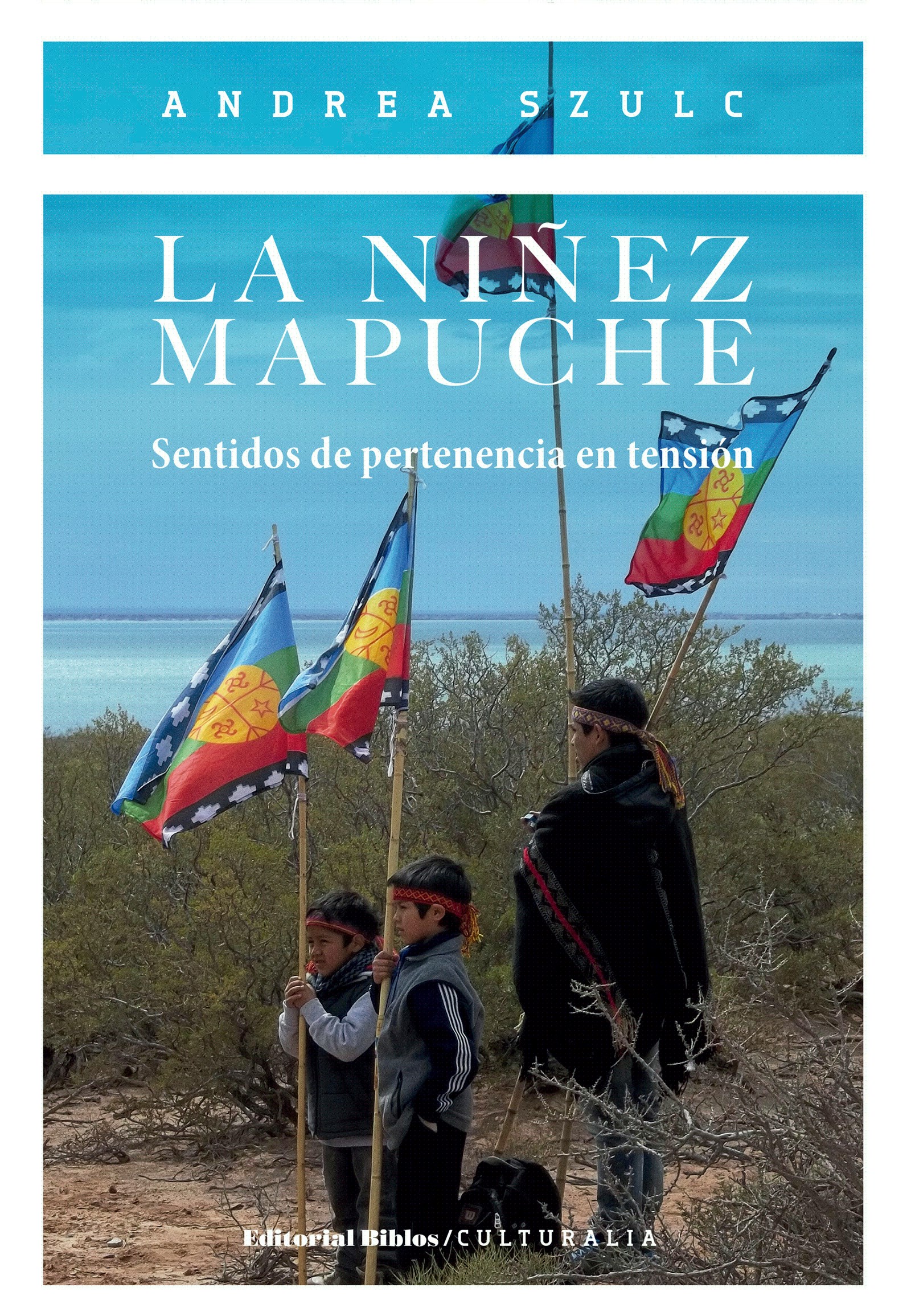 La niñez mapuche