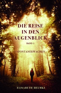 Die Reise in den Augenblick - Elisabeth Helmke - ebook