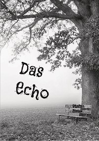 Das Echo - Stefan Meier - ebook