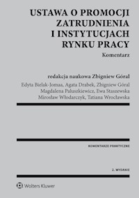 Ustawa o promocji zatrudnienia i instytucjach rynku pracy Komentarz - Bielak-Jomaa Edyta, Drabek Agata, Góral Zbigniew, Paluszkiewicz Magdalena, Staszewska Ewa - książka