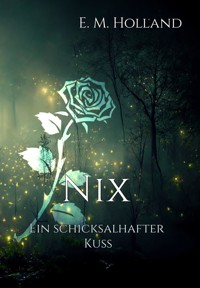 Nix - ein schicksalhafter Kuss - E. M. Holland - ebook