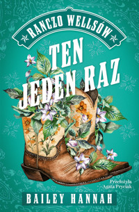 Ten jeden raz - Bailey Hannah - ebook