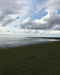 Strandtrift - Jo Hilmsen - ebook