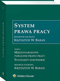 System prawa pracy Tom 10 -  - książka
