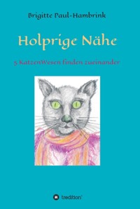 Holprige Nähe - Brigitte Paul-Hambrink - ebook