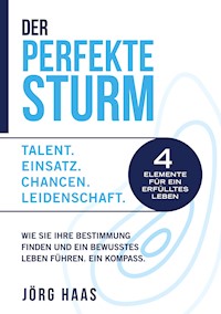 Der Perfekte Sturm - Jörg Haas - ebook