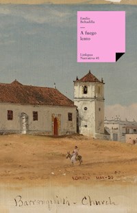 A fuego lento - Emilio Bobadilla - ebook