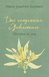 Das vergessene Geheimnis - Hans-Joachim Eckstein - ebook