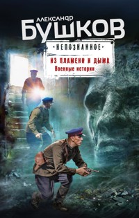 Из пламени и дыма. Военные истории - Александр Бушков - ebook
