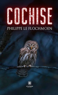 Cochise - Philippe le Flochmoen - ebook