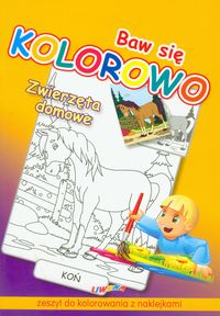 Baw się kolorowo Zwierzęta domowe Koń -  - książka