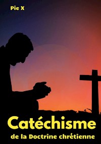 Catéchisme de la Doctrine chrétienne - Saint Pie X - ebook