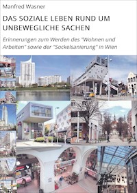 DAS SOZIALE LEBEN RUND UM UNBEWEGLICHE SACHEN - Manfred Wasner - ebook