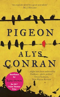 Pigeon - Alys Conran - ebook