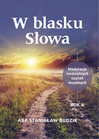 W blasku Słowa - ABP STANISŁAW BUDZIK - ebook