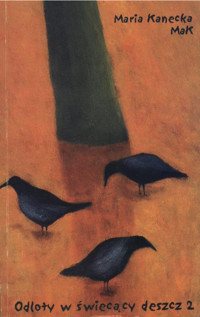 Odloty w świecący deszcz 2 - Maria Kanecka - ebook