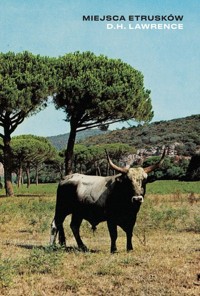 Miejsca Etrusków - D H Lawrence - książka