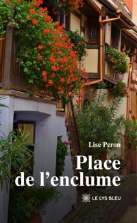 Place de l’enclume - Lise Peron - ebook