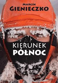 Kierunek Północ - Gienieczko Marcin - ebook
