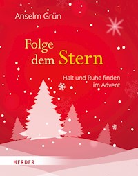 Folge dem Stern - Grun Anselm - ebook