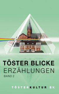 Töster Blicke Erzählungen -  - ebook