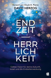 Endzeit-Herrlichkeit - David Herzog - ebook