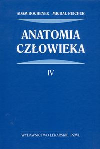 Anatomia człowieka Tom 4 - Bochenek Adam, Reicher Michał - książka