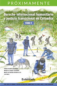 Derecho internacional humanitario tomo V - Varios Autores - ebook