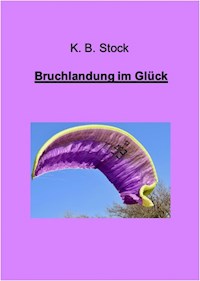 Bruchlandung im Glück - K. B. Stock - ebook