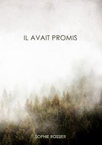 Il avait promis - Sophie Rossier - ebook